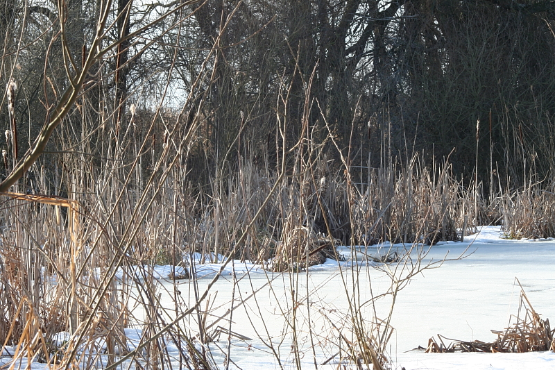 Killikus&reg; Fotographie